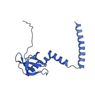 17952_8pv3_LM_v1-1
Chaetomium thermophilum pre-60S State 9 - pre-5S rotation - immature H68/H69 - composite structure