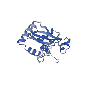 17952_8pv3_LN_v1-1
Chaetomium thermophilum pre-60S State 9 - pre-5S rotation - immature H68/H69 - composite structure