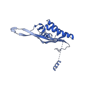 17952_8pv3_LP_v1-1
Chaetomium thermophilum pre-60S State 9 - pre-5S rotation - immature H68/H69 - composite structure