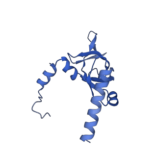 17952_8pv3_LY_v1-1
Chaetomium thermophilum pre-60S State 9 - pre-5S rotation - immature H68/H69 - composite structure