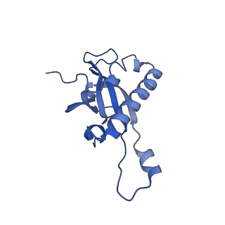 17952_8pv3_LZ_v1-1
Chaetomium thermophilum pre-60S State 9 - pre-5S rotation - immature H68/H69 - composite structure
