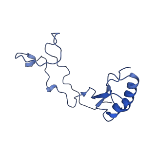 17952_8pv3_Le_v1-1
Chaetomium thermophilum pre-60S State 9 - pre-5S rotation - immature H68/H69 - composite structure