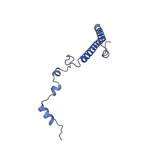 17952_8pv3_Lh_v1-1
Chaetomium thermophilum pre-60S State 9 - pre-5S rotation - immature H68/H69 - composite structure