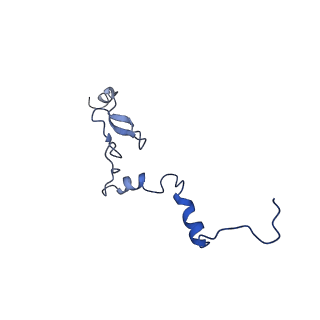 17952_8pv3_Lj_v1-1
Chaetomium thermophilum pre-60S State 9 - pre-5S rotation - immature H68/H69 - composite structure
