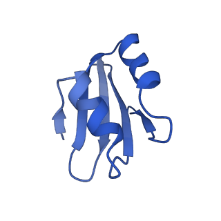 17952_8pv3_Lk_v1-1
Chaetomium thermophilum pre-60S State 9 - pre-5S rotation - immature H68/H69 - composite structure