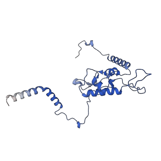 17953_8pv4_LL_v1-1
Chaetomium thermophilum pre-60S State 2 - pre-5S rotation with Rix1 complex - composite structure
