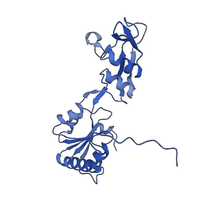 17955_8pv6_CF_v1-1
Chaetomium thermophilum pre-60S State 3 - post-5S rotation with Rix1 complex with Foot - composite structure