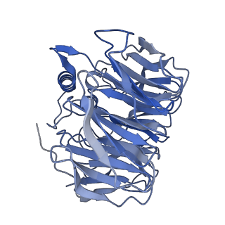 17955_8pv6_Ch_v1-1
Chaetomium thermophilum pre-60S State 3 - post-5S rotation with Rix1 complex with Foot - composite structure