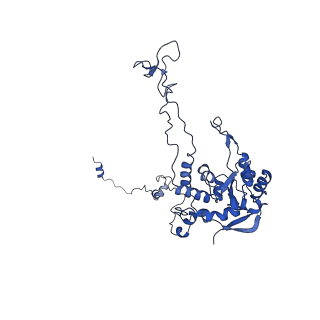 17957_8pv8_LC_v1-0
Chaetomium thermophilum pre-60S State 4 - post-5S rotation with Rix1 complex without Foot - composite structure