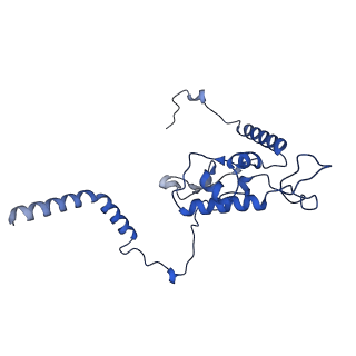 17957_8pv8_LL_v1-0
Chaetomium thermophilum pre-60S State 4 - post-5S rotation with Rix1 complex without Foot - composite structure