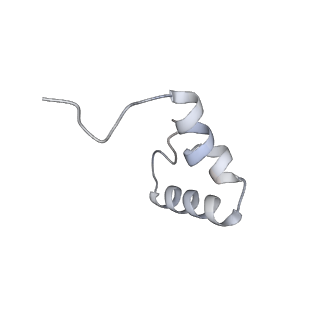 17959_8pva_1_v1-1
Structure of bacterial ribosome determined by cryoEM at 100 keV