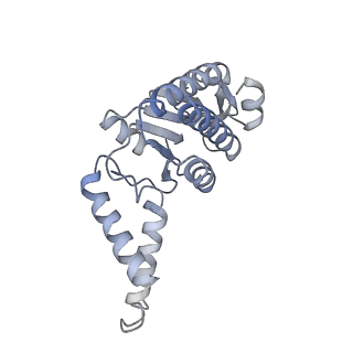 17959_8pva_B_v1-1
Structure of bacterial ribosome determined by cryoEM at 100 keV
