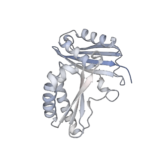 17959_8pva_C_v1-1
Structure of bacterial ribosome determined by cryoEM at 100 keV