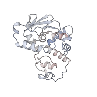 17959_8pva_D_v1-1
Structure of bacterial ribosome determined by cryoEM at 100 keV