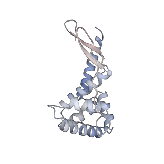 17959_8pva_G_v1-1
Structure of bacterial ribosome determined by cryoEM at 100 keV
