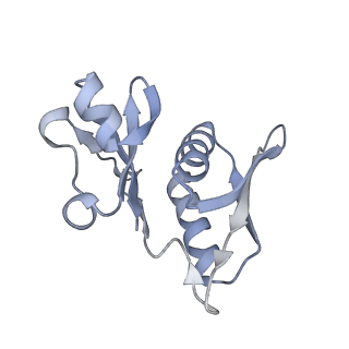 17959_8pva_H_v1-1
Structure of bacterial ribosome determined by cryoEM at 100 keV