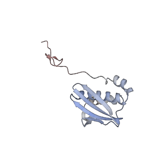 17959_8pva_I_v1-1
Structure of bacterial ribosome determined by cryoEM at 100 keV