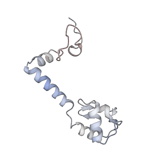 17959_8pva_M_v1-1
Structure of bacterial ribosome determined by cryoEM at 100 keV