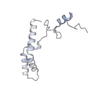 17959_8pva_N_v1-1
Structure of bacterial ribosome determined by cryoEM at 100 keV