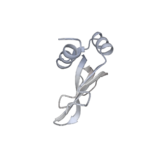 17959_8pva_P_v1-1
Structure of bacterial ribosome determined by cryoEM at 100 keV