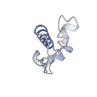 17959_8pva_R_v1-1
Structure of bacterial ribosome determined by cryoEM at 100 keV