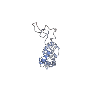 17959_8pva_e_v1-1
Structure of bacterial ribosome determined by cryoEM at 100 keV