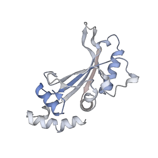 17959_8pva_f_v1-1
Structure of bacterial ribosome determined by cryoEM at 100 keV