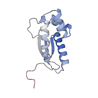 17959_8pva_m_v1-1
Structure of bacterial ribosome determined by cryoEM at 100 keV