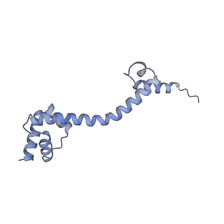 17959_8pva_p_v1-1
Structure of bacterial ribosome determined by cryoEM at 100 keV