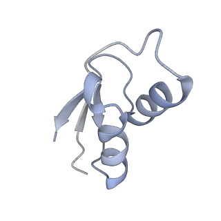 17959_8pva_y_v1-1
Structure of bacterial ribosome determined by cryoEM at 100 keV