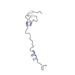 17959_8pva_z_v1-1
Structure of bacterial ribosome determined by cryoEM at 100 keV