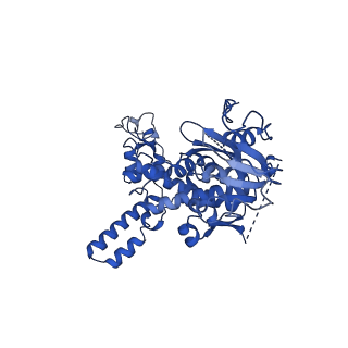 17969_8pvk_CJ_v1-1
Chaetomium thermophilum pre-60S State 5 - pre-5S rotation - L1 inward - composite structure
