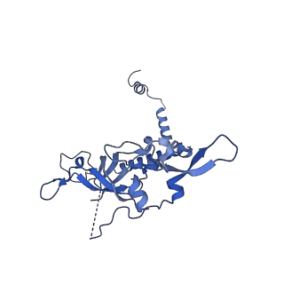 17969_8pvk_CK_v1-1
Chaetomium thermophilum pre-60S State 5 - pre-5S rotation - L1 inward - composite structure