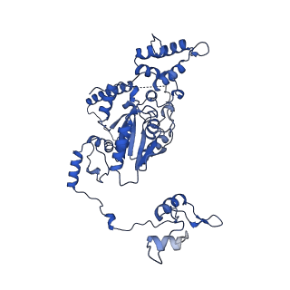 17969_8pvk_Cd_v1-1
Chaetomium thermophilum pre-60S State 5 - pre-5S rotation - L1 inward - composite structure