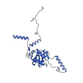 17969_8pvk_LG_v1-1
Chaetomium thermophilum pre-60S State 5 - pre-5S rotation - L1 inward - composite structure