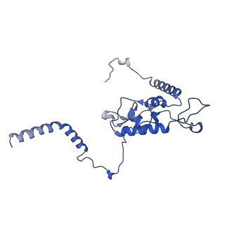 17969_8pvk_LL_v1-1
Chaetomium thermophilum pre-60S State 5 - pre-5S rotation - L1 inward - composite structure