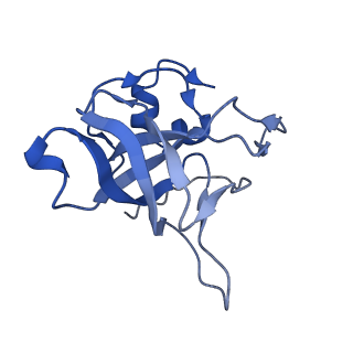 17969_8pvk_LV_v1-1
Chaetomium thermophilum pre-60S State 5 - pre-5S rotation - L1 inward - composite structure