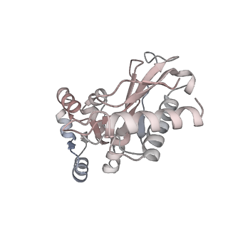 17969_8pvk_Lr_v1-1
Chaetomium thermophilum pre-60S State 5 - pre-5S rotation - L1 inward - composite structure