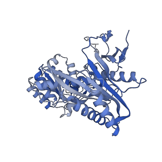 17973_8pvv_A_v1-1
Archaeoglobus fulgidus AfAgo complex with AfAgo-N protein (fAfAgo) bound with 30 nt RNA guide and 51 nt DNA target