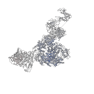 20486_6pv6_B_v1-2
Functional Pathways of Biomolecules Retrieved from Single-particle Snapshots