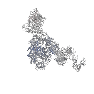 20486_6pv6_E_v1-2
Functional Pathways of Biomolecules Retrieved from Single-particle Snapshots