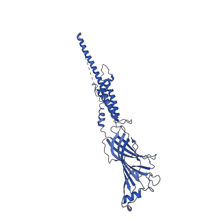 20487_6pv7_C_v2-0
Human alpha3beta4 nicotinic acetylcholine receptor in complex with nicotine