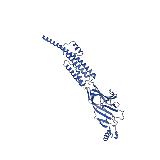 20487_6pv7_D_v2-0
Human alpha3beta4 nicotinic acetylcholine receptor in complex with nicotine