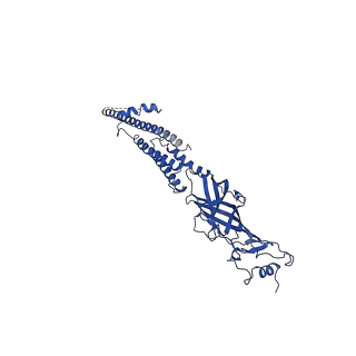 20487_6pv7_E_v1-3
Human alpha3beta4 nicotinic acetylcholine receptor in complex with nicotine