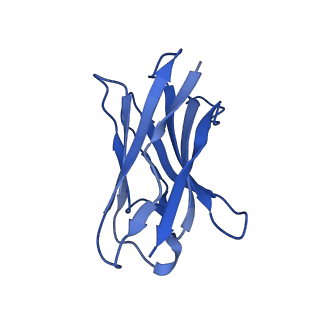 20487_6pv7_H_v1-3
Human alpha3beta4 nicotinic acetylcholine receptor in complex with nicotine