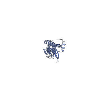 20488_6pv8_A_v1-3
Human alpha3beta4 nicotinic acetylcholine receptor in complex with AT-1001