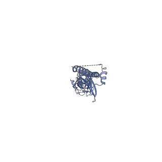 20488_6pv8_A_v2-0
Human alpha3beta4 nicotinic acetylcholine receptor in complex with AT-1001