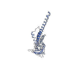 20488_6pv8_C_v1-3
Human alpha3beta4 nicotinic acetylcholine receptor in complex with AT-1001
