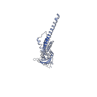 20488_6pv8_C_v2-0
Human alpha3beta4 nicotinic acetylcholine receptor in complex with AT-1001