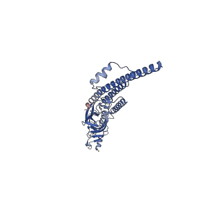 20488_6pv8_D_v1-3
Human alpha3beta4 nicotinic acetylcholine receptor in complex with AT-1001
